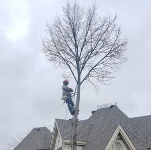 Meet your Posher, Frank